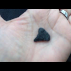 Meet your Posher, Teressa